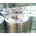 Flange de placa 6000/3 Sans1123